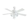 Litex BLR44MWW5LK3 Balmoral 44-Inch Remote Control Adaptable Five-Blade Ceiling Fan, Matte White with Alabaster Glass Light