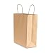 COSCO Premium Small Brown Paper Shopping Bag, 50/Box (091565)