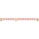 Minnies 1st Birthday Plastic Banner