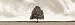 Centre Field by Richard Hall. Size 36.00 inches width by 10.92 inches height. High Qu...