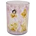 Disney Princess Enchantment Plastic Tumbler