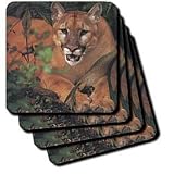 Florida Rare Panther - Set Of 8 Coasters - Soft