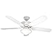 Litex E-WOD52WW5C All Weather Collection 52-Inch Indoor/Outdoor Ceiling Fan with Five White ABS Blades and Single Light Kit with Frost Glass