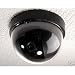 31CsnEwmyXL. SL75  security system decals