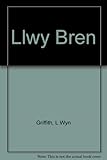 Y llwy bren