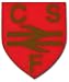 Bristol City CSF Badge