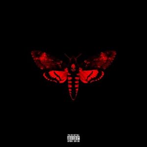  Lil Wayne | Format: MP3 Music  From the Album: I Am Not A Human Being II (Explicit Version) (5) Release Date: March 26, 2013   Download:  $1.29