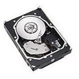 IBM 146GB 15000Rpm 200Mbps Hard Drive (22R5033)