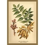 Return to product information