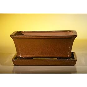Bonsai Boy's Ceramic Bonsai Pot With Attached Humidity/Drip tray - Rectangle8.5" x 6.5" x 3.5"