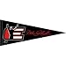 Dale Earnhardt Jr. #88 National Guard Pennant
