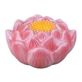 【浮き玉】ぷかぷか蓮の花