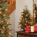 GKI Bethlehem Lighting 4-Foot Green River Spruce Stake Christmas Tree Pre-lit with 150 Clear Mini Lights
