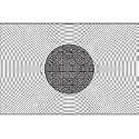 Nikon G4 Focusing Screen F5