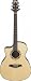 Ibanez Ambiance Series A100 Left-Handed Spruce Top Acoustic-Electric Guitar - Natural