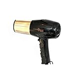 Gold 'N Hot GH8135 Professional 1875-Watt Dryer with Styling Pik