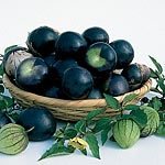 Tomatillo - Salsa Plant Seeds (Eden Project range) (1 Pkt - 28 seeds)