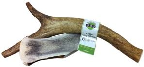 Organic Elk Antler Dog Chew Treats | Large (9-11 inches) | 100% Naturally Shed | Sourced from Bend, Oregon