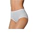 : Bali Skimp Skamp Modern Brief 2950
