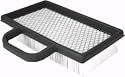 Air Filter, Replacement for Briggs & Stratton 499486, 698754. Includes pre-filter 273638