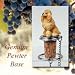 Poodle Dog Wine Bottle Stopper - Apricot