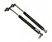 00 01 Toyota Camry Hood Support Strut Shock Pair 2000 2001 Image