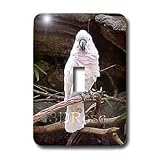 Birds - Moluccan Cockatoo - Light Switch Covers - single toggle switch