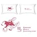 BoldLoft Zodiac Signs Love Gifts- Scorpio Pillowcase-Christmas Gift Ideas for Couples,Romantic Christmas Gifts for Him or for Her,Cute Christmas Gifts