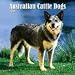 Australian Cattle Dogs 2008 Wall Calendar - Dog Calendars