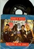 Welcome to the Jungle / Mr. Brownstone