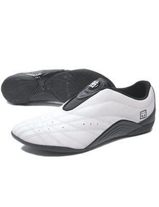 Mooto Wings Martial Arts Shoes - 2 Tones