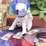 ペットボタニクス　エリザベス　カラー　S