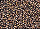 Delica Beads 11/0 Miyuki (a full 8 gram pack) over 500 colors available individually!, DB506 Dark Red Gold Iris