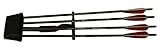 Barnett Revolution/Quad 400 4 Arrow Quiver with 4 - 22-Inch Arrows