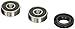 Pivot Works PWRWS-H28-000 Rear Wheel Bearing and Seal Kit
