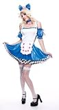Wicked Alice in Wonderland Adult Costume