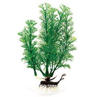 Flowering Cabomba - Super - 18 in. - Buy Flowering Cabomba - Super - 18 in. - Purchase Flowering Cabomba - Super - 18 in. (Penn Plax, Home & Garden, Categories, Pet Supplies, Fish & Aquatic Pets, Aquarium Accessories, Decor, Plastic Plants)