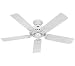 Hunter Fan Company