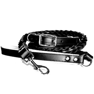 Handcrafted 8-Thong Full Braided Semi-Glossy Harness Leather Dog Collar and Leash Set - Black