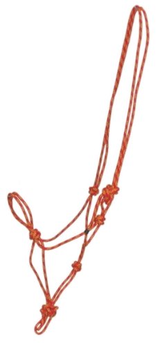 Wholesale Lot of 12 Gatsby Cowboy Rope Halters - Red/gold - Horse