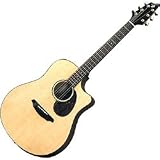 AD25/SM Acoustic Electric Guitar