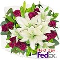 Lilies - Doo Woop(Valentines Offer: Free Shipping)