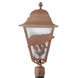 IMAGE OF Americana Bear Series 25