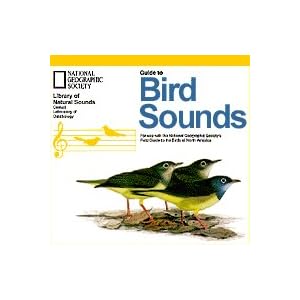 Guide to Bird Sounds