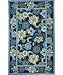 Marcella Vera Bradley Mod Floral Blue VBY041A 2' X 3' Area Rug