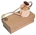 Haws V180 2 Pint Indoor Copper Watering Can, includes Rose