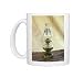 EVCW2D-00088 Photo Mugs