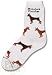 Miniature Pinscher Poses Socks