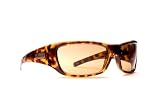 Anarchy RALLY Men's Sunglasses with Olive Tortoise Frame and Green Lens