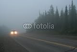 IMAGE OF Wallmonkeys Peel and Stick Wall Decals - Morgennebel im Denali Nationalpark, Alaska - Usa - 18